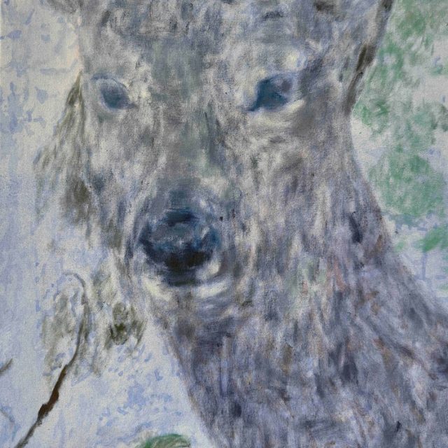 Kui Soon Park | a slow observation | Galerie mutare | 10.07.-22.08.2026