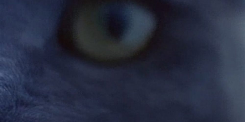 Lucy Skaer | Available Fonts | KW Institute for Contemporary Art | 13.10.2017–07.01.2018