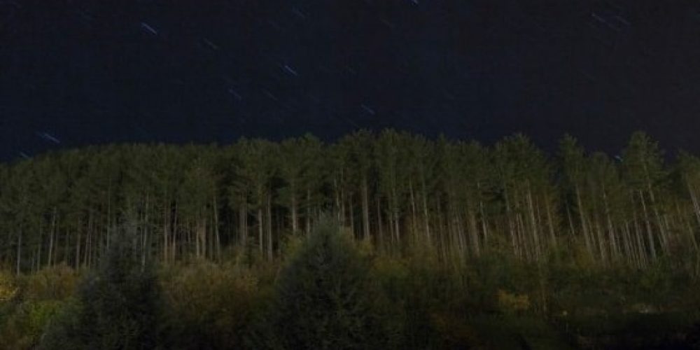 Nadia Lichtig | Ghosttrap | Kunstverein am Rosa-Luxemburg-Platz | 09.02.–20.02.2017