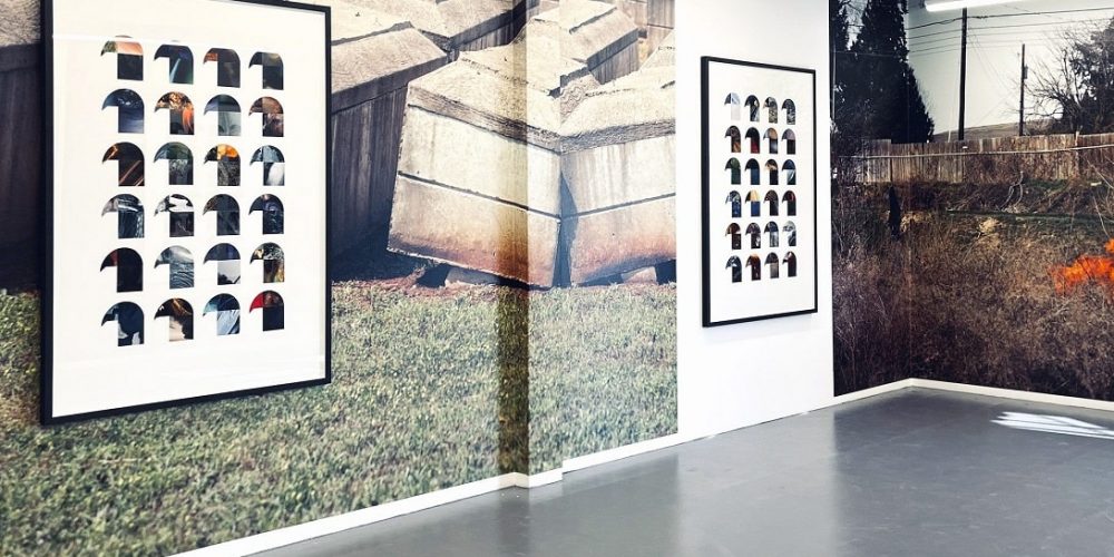 Cyrill Lachauer | Birds | Loock Galerie | 14.10.–26.11.2022