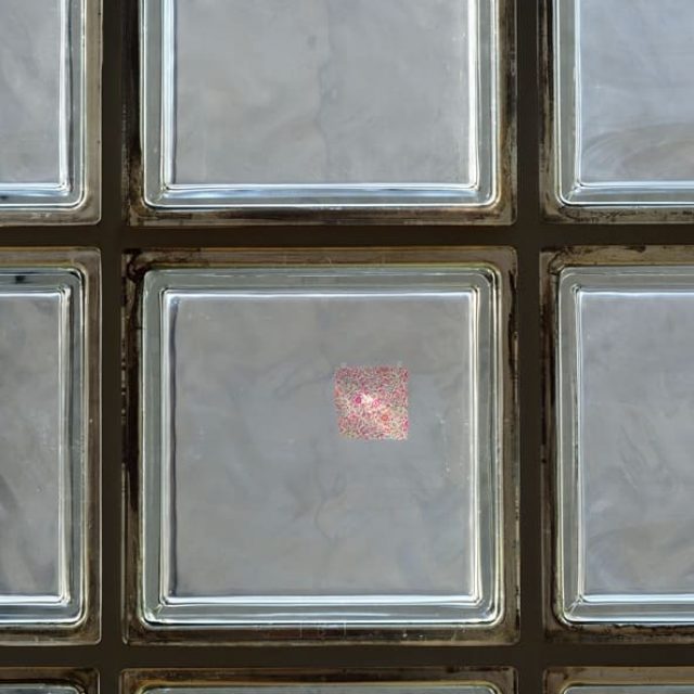 Rei Naito | Face (the joys were greater) | Loock Galerie | 01.05.–14.06.2026