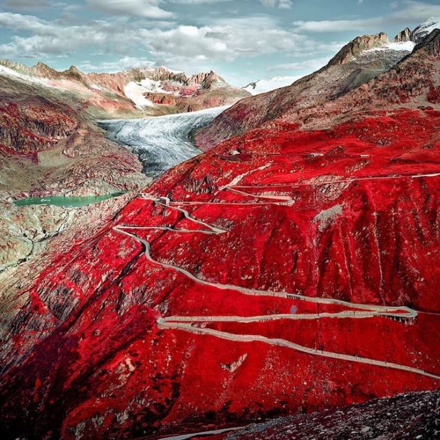 Nature’s Signature | Gruppenausstellung | Luisa Catucci Gallery | 29.01.–22.03.2026