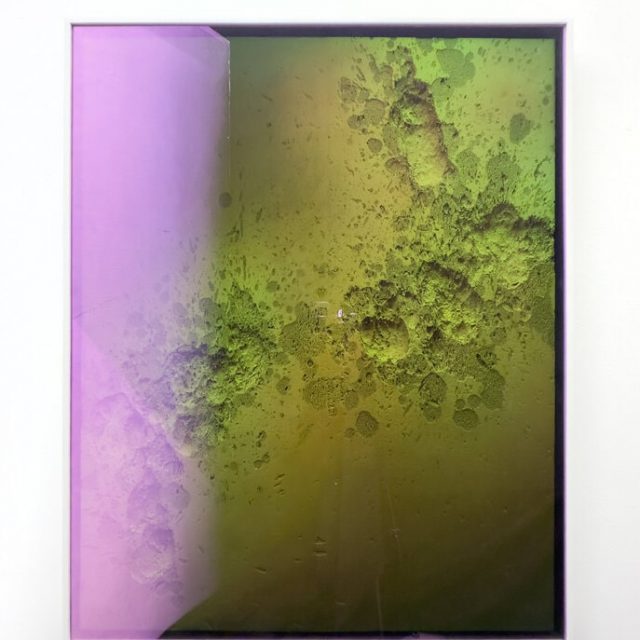 Wolfgang Flad + Rémy Hysbergue | The Wisdom of the Peacock | Luisa Catucci Gallery | 14.03.-27.04.2025