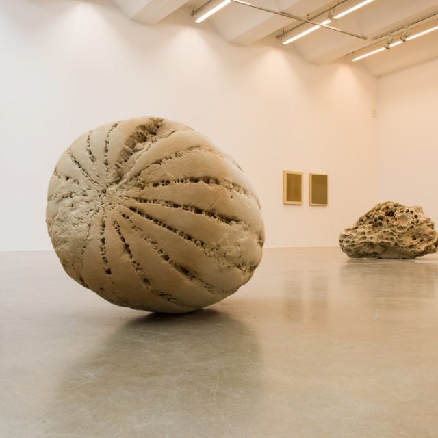 JEEWI LEE | Field of Fragments | Sexauer Gallery | 22.11.2024-18.01.2025