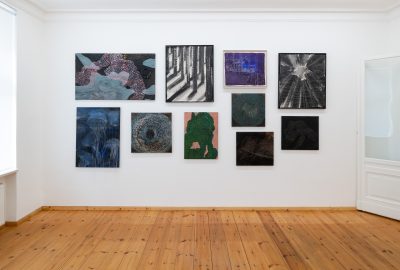 Schindler Lab, Exhibition view