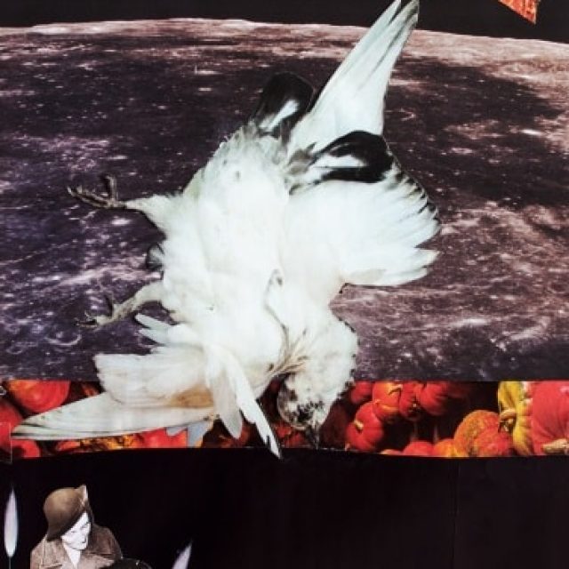 Deborah Uhde + Maria Manasterny | SYNDROME im Schatten der Ordnung | Schwartzsche Villa | 12.09.-05.11.2017