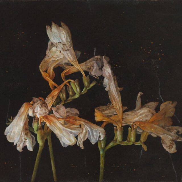 Sebastian Schrader | FLOWERS | REITER | 12.9.–19.10.2024