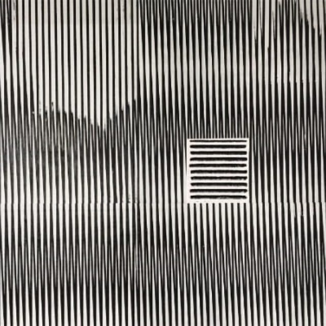 Caroline Kryzecki | Come out (to show them) | SEXAUER Gallery | 09.09.-21.10.2017