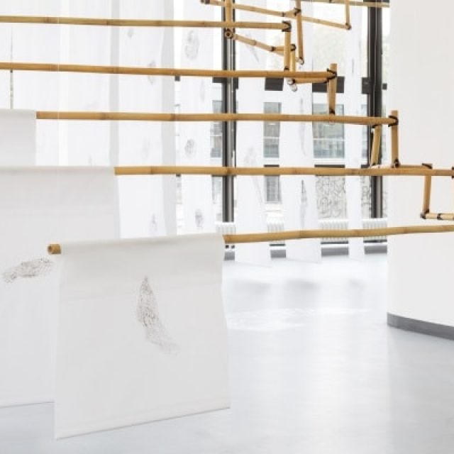 Mariana Castillo Deball | Pleasures of Association, and Poissons, such as Love | Galerie Wedding – Raum für zeitgenössische Kunst | 05.10.-04.11.2017