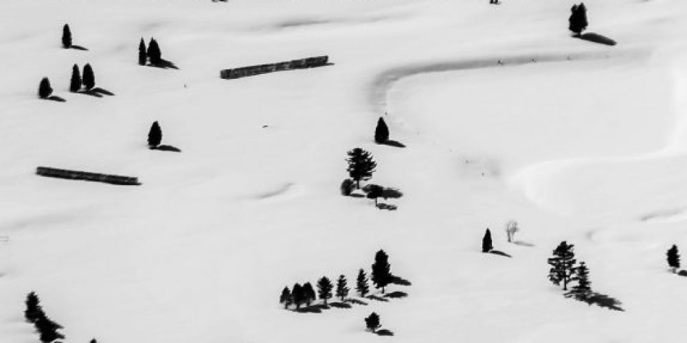 Ishka Michocka | Ki – Contemplation in flight | aquabitArt | 03.11.-29.11.2015