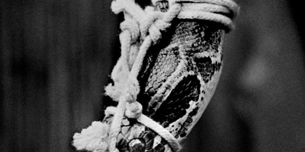 Entangled | Gruppenausstellung | Dorothée Nilsson Gallery | 09.07.-03.09.2022