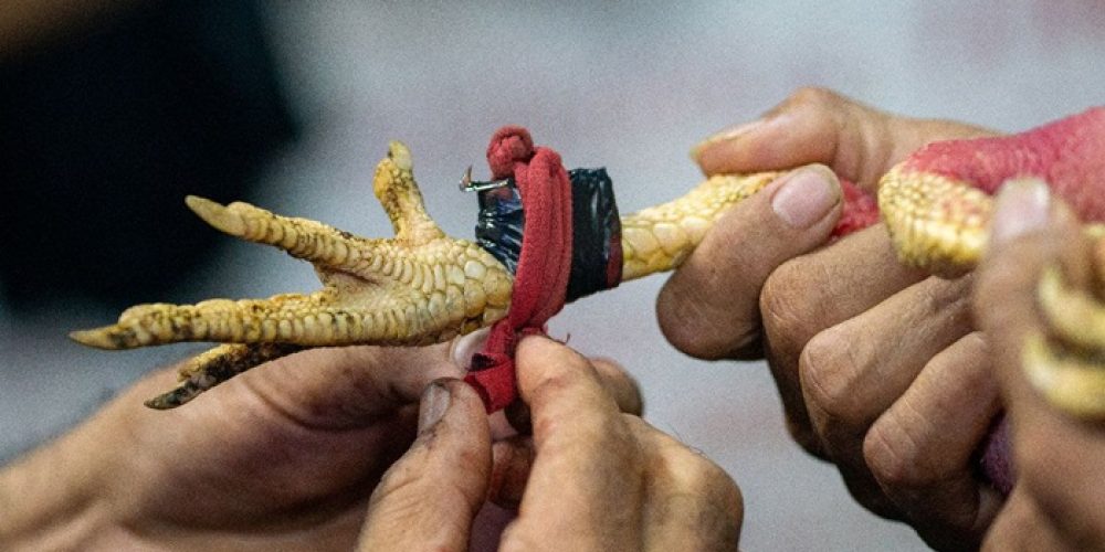 Elyla | Ya-bunanma-m-a-ta-ta: WHAT I SEE WHEN I DREAM | Galerie Barbara Thumm