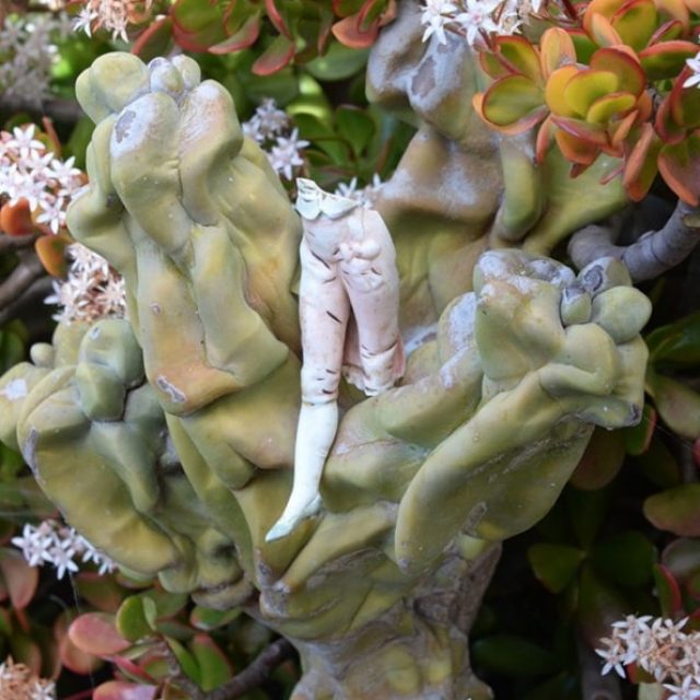 Per Christian Brown + Sebastian Kusenberg | I CAN’T LEAVE THESE TREES …  | Luisa Catucci Gallery | 16.06.-24.08.2022