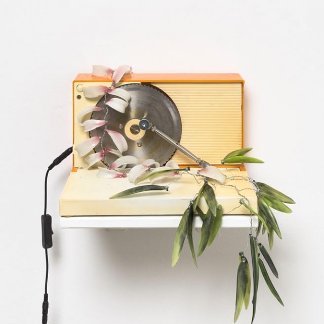 Rachel Youn | Pleasure Circuit | Soy Capitán | 11.09.–26.10.2024