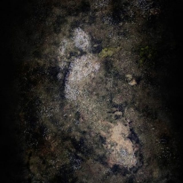 Edgar Lissel | Ruptures in the cinema of the mind | photo edition berlin | 24.04.-17.06.2017