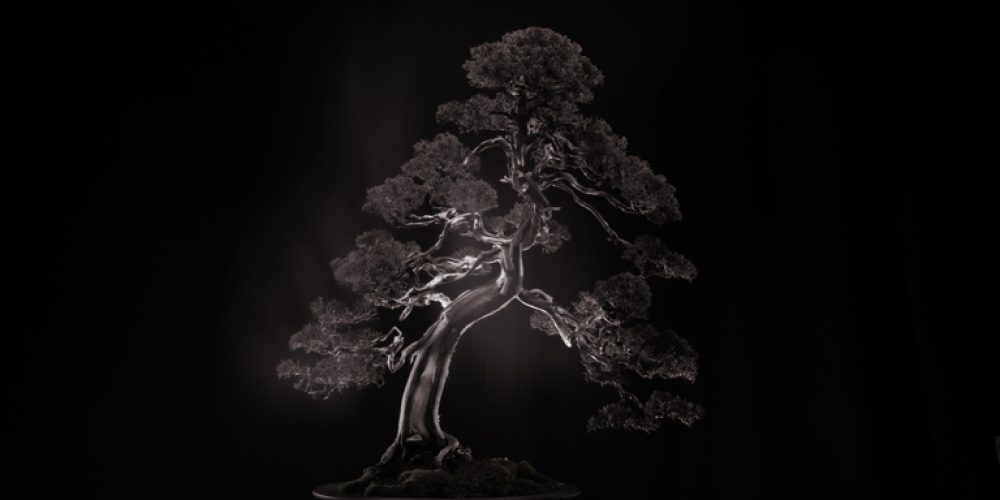 Yamamoto Masao | MICROCOSM MACROCOSM | Alfred Ehrhardt Stiftung | 15.09.-23.12.2018