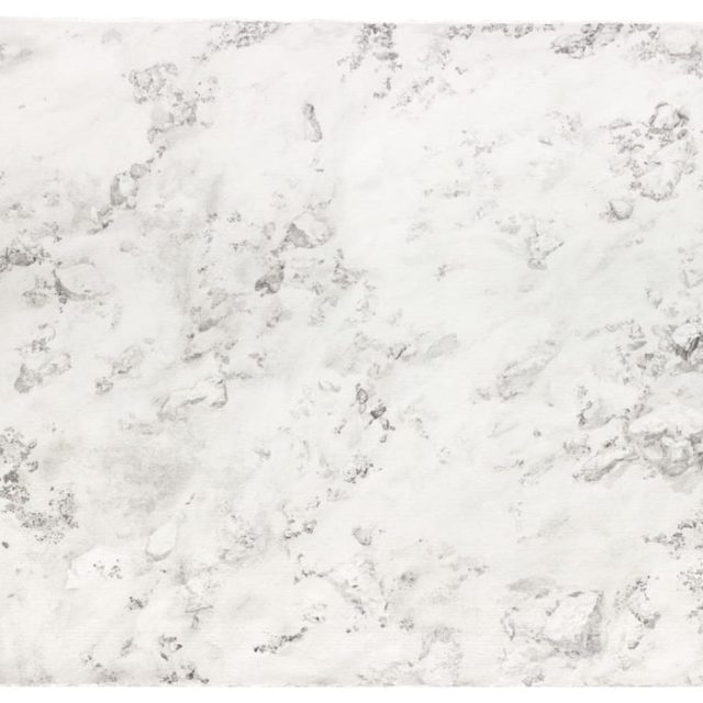 Sophia Berg | Erden | Galerie Dittmar | 17.01.–19.02.2026