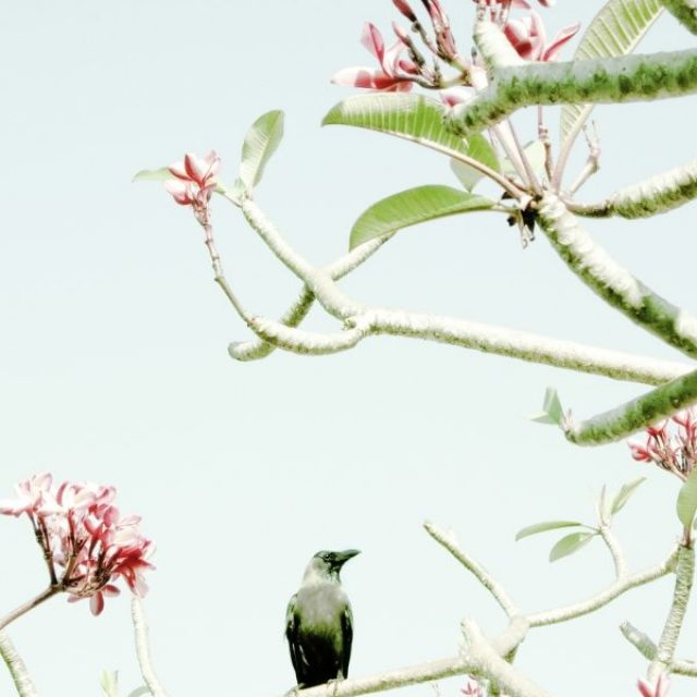 Philipp Keel | Splash | Galerie CAMERA WORK | 07.12.2013-22.02.2014