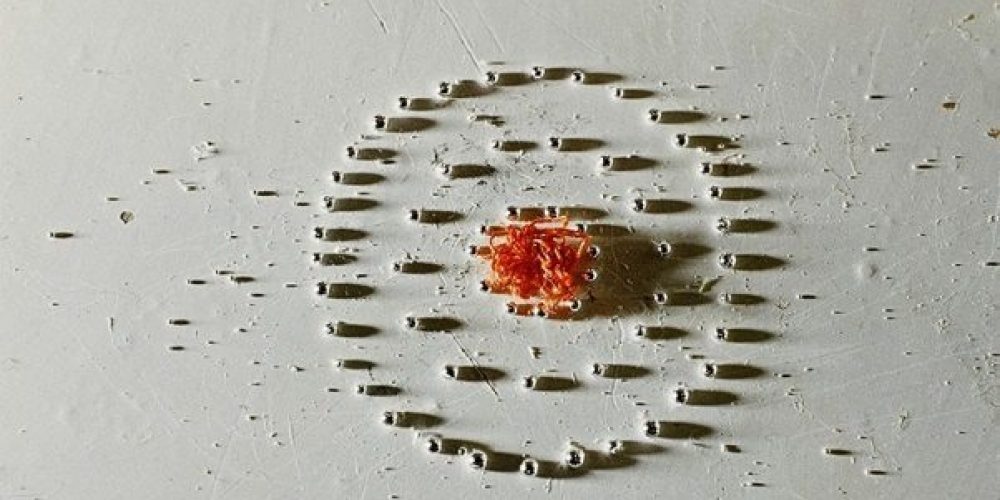 Group Exhibition | The Admirable Number Pi | Zac I Branicka| 27.06.-19.09.2015