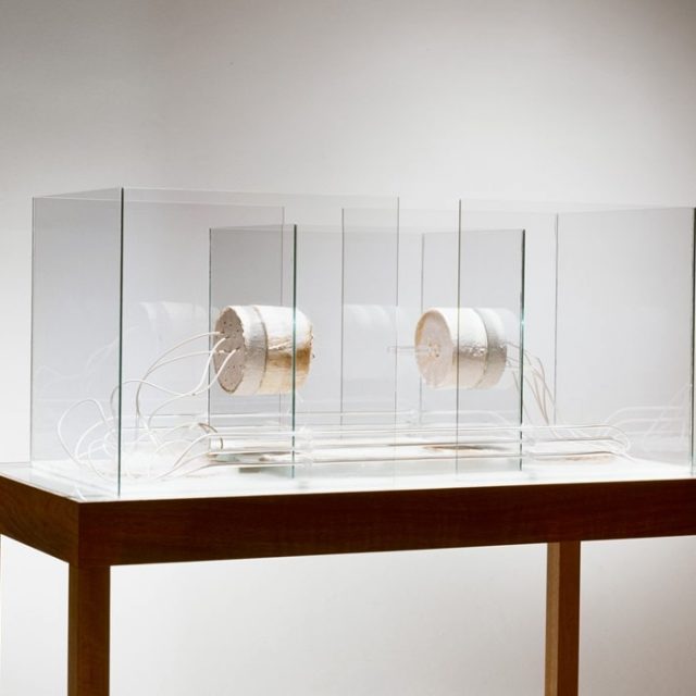 Gina Lee Felber + Jürgen Klauke | Galerie Guido W. Baudach | 16.11.2024-22.02.2025