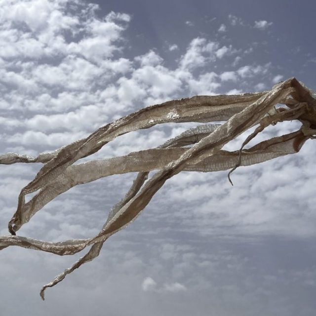 Edith Dekyndt | Animal Methods | Konrad Fischer Galerie | 13.09.-16.11.2024