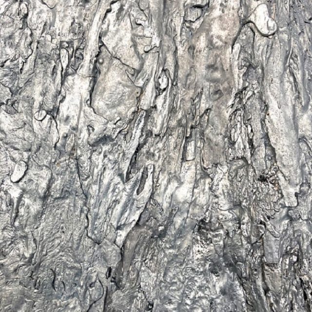 Stephanie Kloss and Joshua Zielinski | Instant Replay | Laura Mars Gallery | 24.02.-06.04.2024