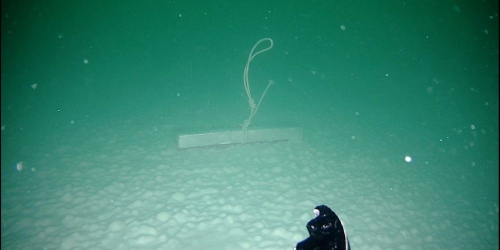 Ella Littwitz | Ontology of the Void | alexander levy | 11.09.-26.10.2024