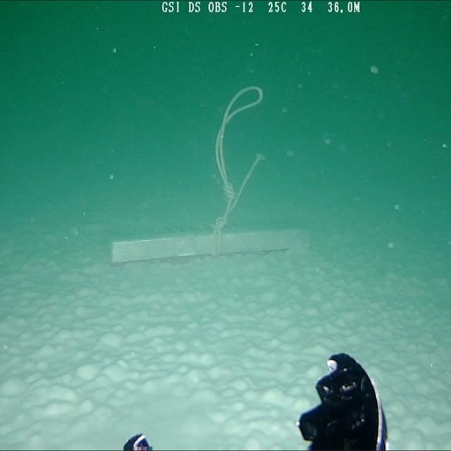 Ella Littwitz | Ontology of the Void | alexander levy | 11.09.-26.10.2024