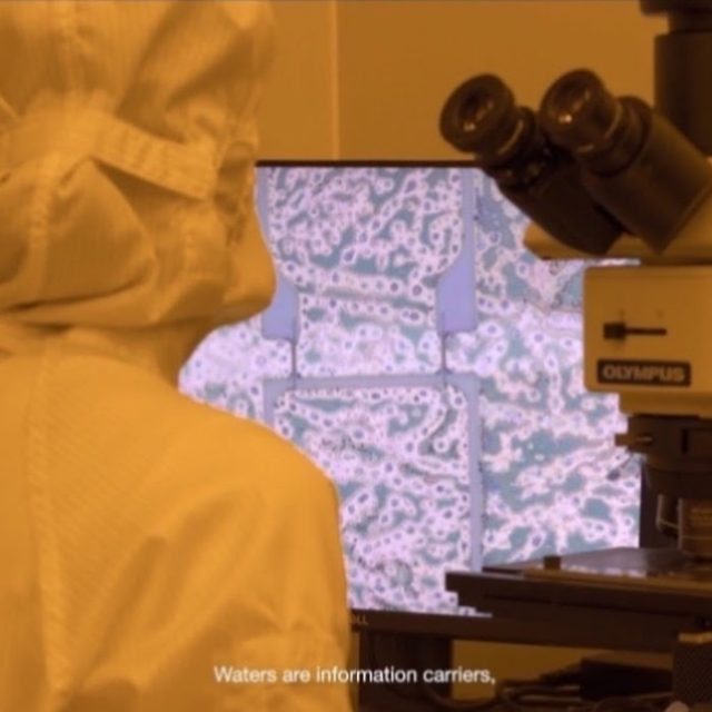 Su Yu Hsin | Sunless Circuit | alexander levy | 14.06.-19.07.2024