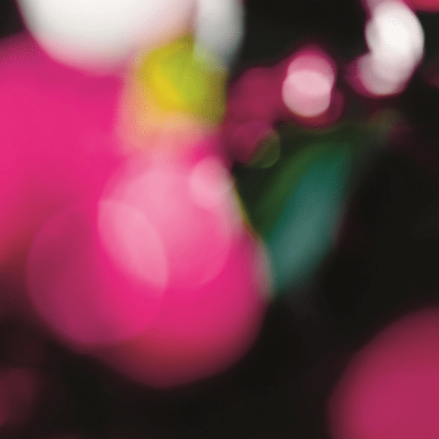 Jakob Kupfer + Christophe Laudamiel | EMOTIONS | mianki. Gallery | 13.03.-19.04.2014