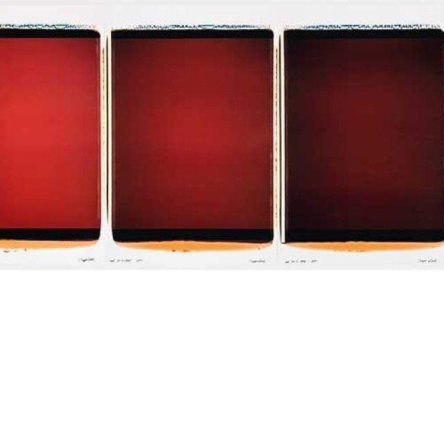 Inge Dick | Polaroids 14.6.1996 – 16.8.2006.| photo edition berlin | 06.06.–25.07.2015