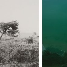 NEWS ++ Arno Schidlowski: Jasmund | The Sun Moon – Alfred Ehrhardt Stiftung | 10.01.-12.04.2026