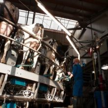 NEWS ++ CONVIVIUM. Nahrungssysteme am Limit – Architekturmuseum der TUM (München) | 23.04.-18.10.2026