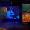 NEWS ++ Berlin Art Week 2026—Festival Programme | 09.09.-13.09.2026