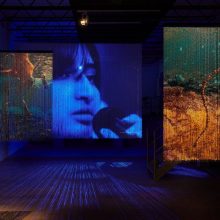 NEWS ++ Berlin Art Week 2026—Festivalprogramm | 09.09.-13.09.2026
