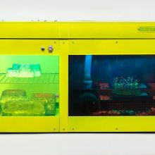 NEWS ++ Carl Cheng: Nature Never Loses – Bonnefanten Museum | 10.05.-28.09.2025