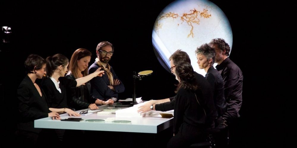 NEWS ++ Performative Diskussionen DISSECT | Tieranatomisches Theater Humboldt-Uni Berlin | 02.11. + 04.11.2022