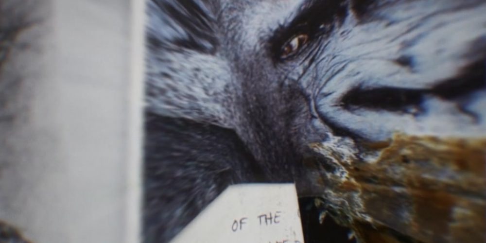 NEWS ++ Tolia Astakhishvili: THE FIRST FINGER (CHAPTER II) – Haus Am Waldsee (House by the forest lake) | 23.06. – 24.09.2023