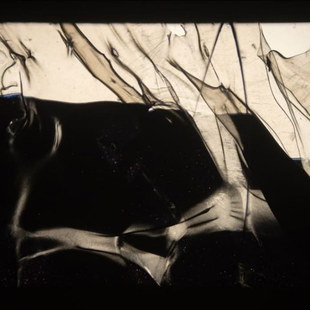 NEWS ++ Jahresprogramm 2026 zum 80-jährigen Bestehen des Haus am Waldsee