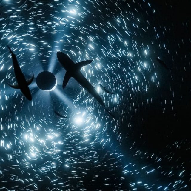 NEWS ++ Julian Charrière. Midnight Zone – Kunstmuseum Wolfsburg | 14.03.-12.07.2026