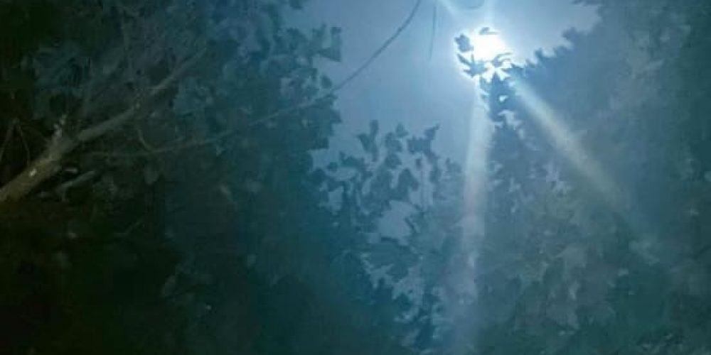 NEWS ++ Lesung und Talk: „Die Prozesse“. Marius Goldhorn + Timo Feldhaus – Schinkel Pavillon (Berlin) | 27.11.2025