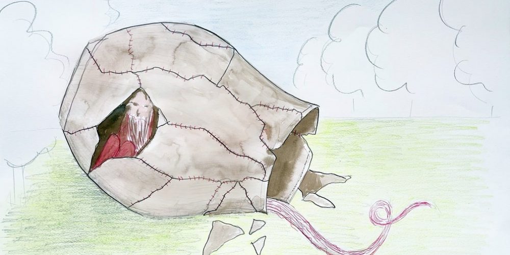 NEWS ++ Sommerfest – Haus am Waldsee | 14.07.2024