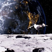 NEWS ++ Stadtbad RELOADED: BEYOND. Neue digitale Kunst im stillgelegten Schwimmbad – Stadtbad Lichtenberg (Berlin) | 11.10.2025-31.01.2026