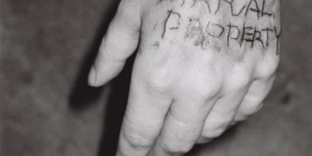 NEWS ++ The Cards You Were Dealt | Körperintervention mit Monty Richthofen – Dittrich + Schlechtriem | 22.02.-24.02.2024