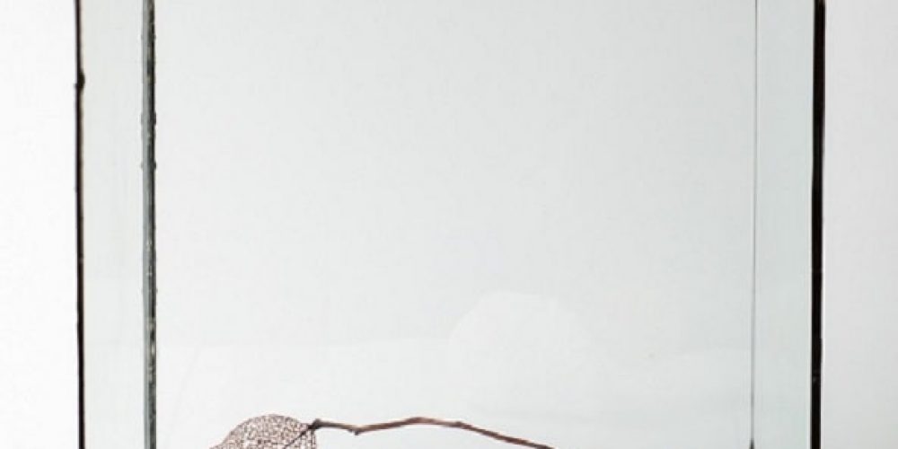 NEWS ++ ifa-Galerie Berlin presents Elisabetta Di Maggio with Mapping the Air | 10.02.-30.04.2023