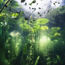 NEWS ++ Helsinki Biennial 2025 – HAM Helsinki Art Museum | 08.06.-21.09.2025