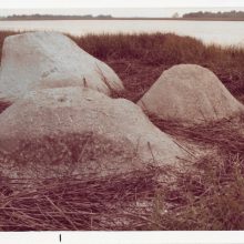 NEWS ++ Beverly Buchanan: Weathering – Haus am Waldsee | 02.10.2025–01.02.2026