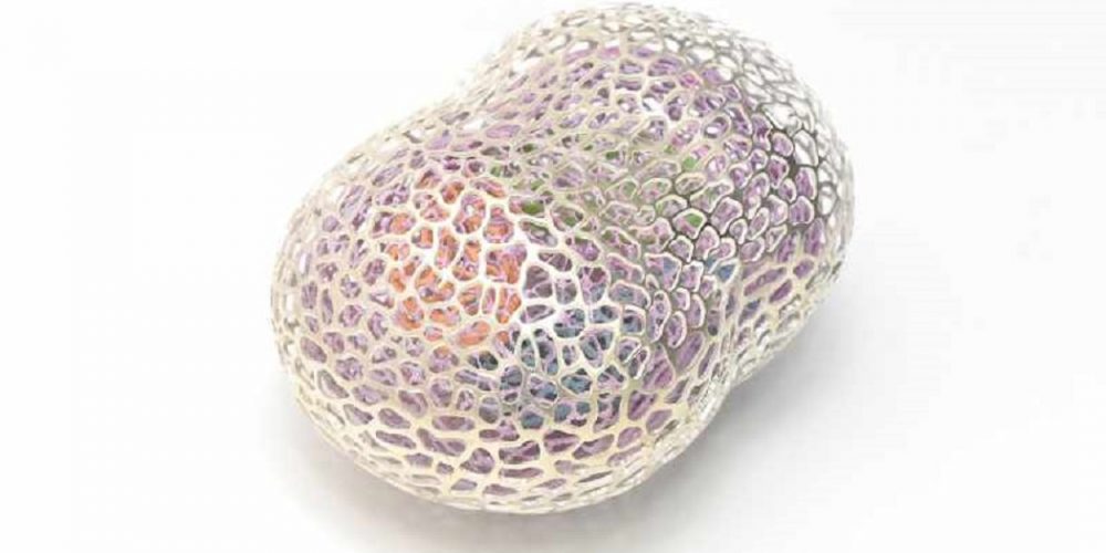 NEWS ++ KANKAN – KIRAKIRA – DOKIDOKI. Schmuckklasse der Kobe Design University zu Gast in der neuen Sammlung der Pinakothek der Moderne | 02.03.-31.03.2024