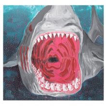 NEWS ++ ROHKUNSTBAU – Schloss Altdöbern | 12.07.-02.11.2025