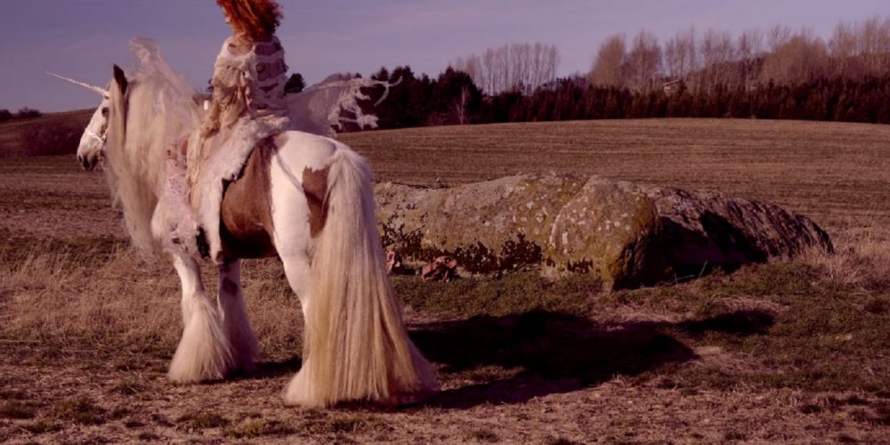 NEWS ++ Socle du Monde Art Festival 2024 | 24.5.-24.11.2024